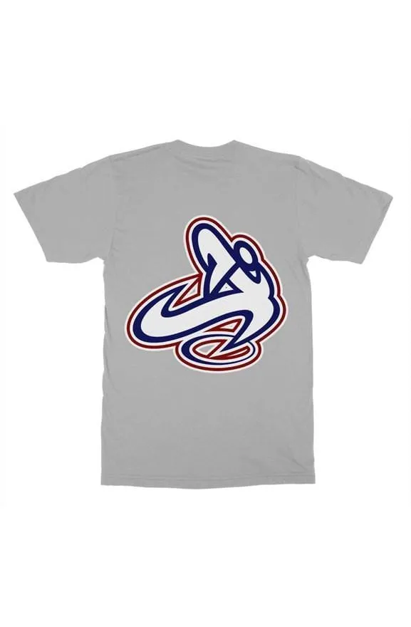 Athletic Apparatus ice grey rwb v1 mens t shirt