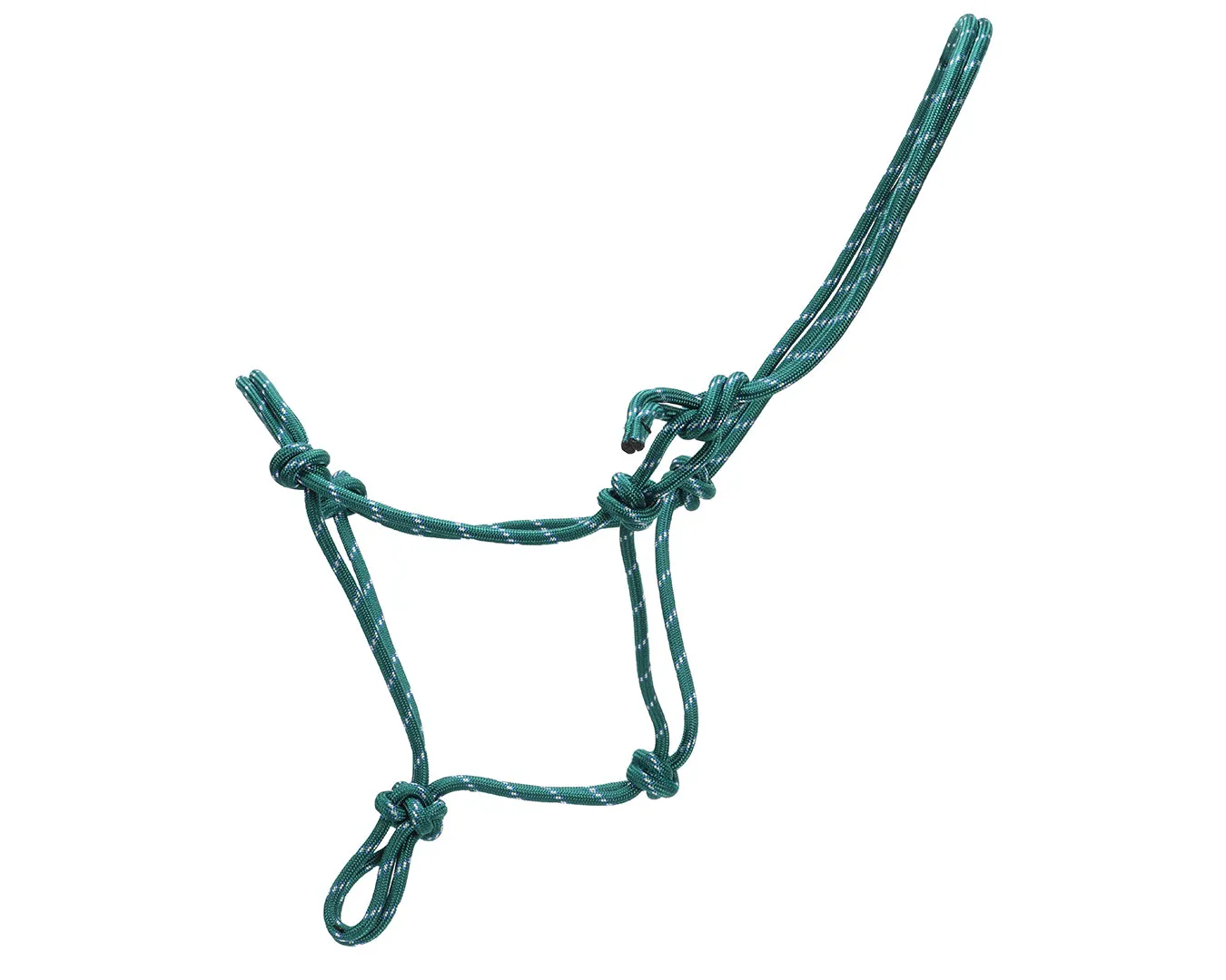 Horsemanship Halter