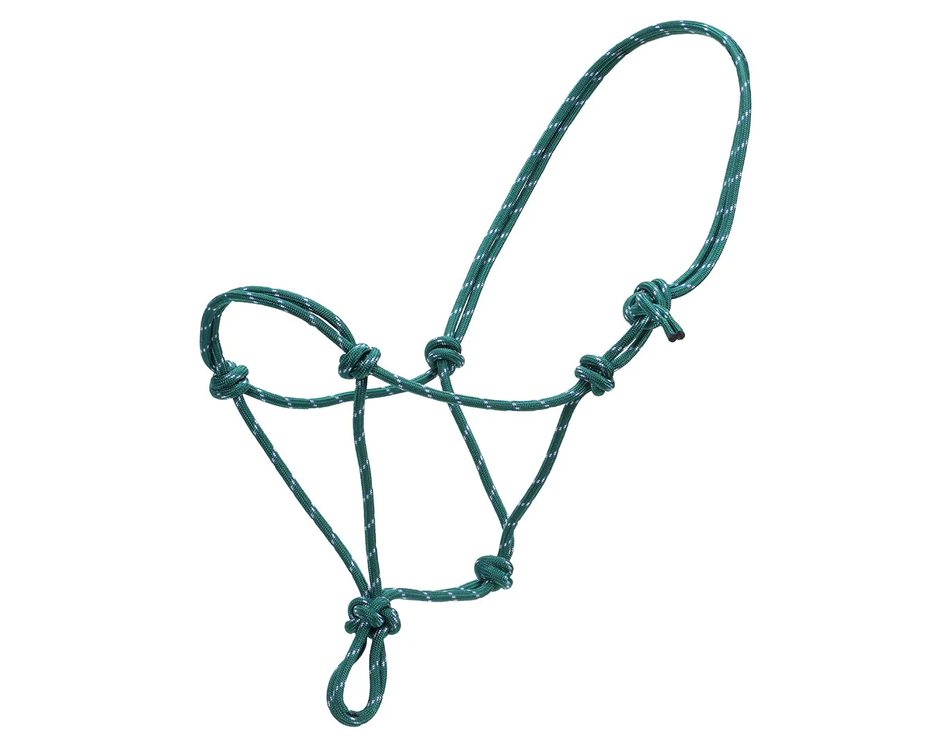 Horsemanship Halter