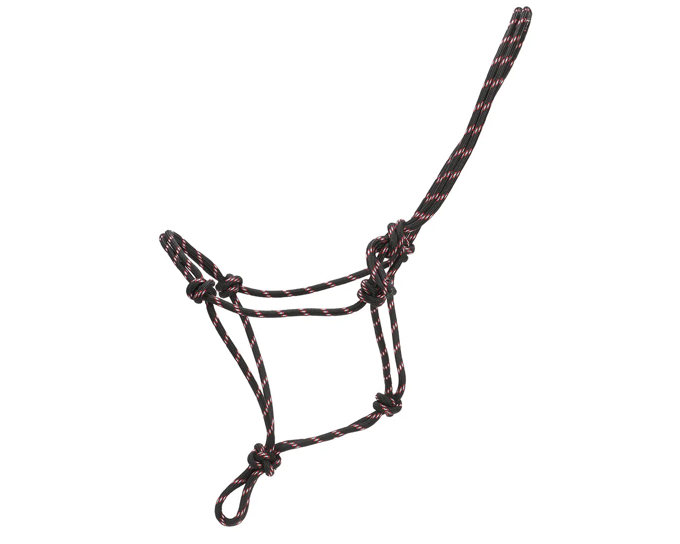 Horsemanship Halter