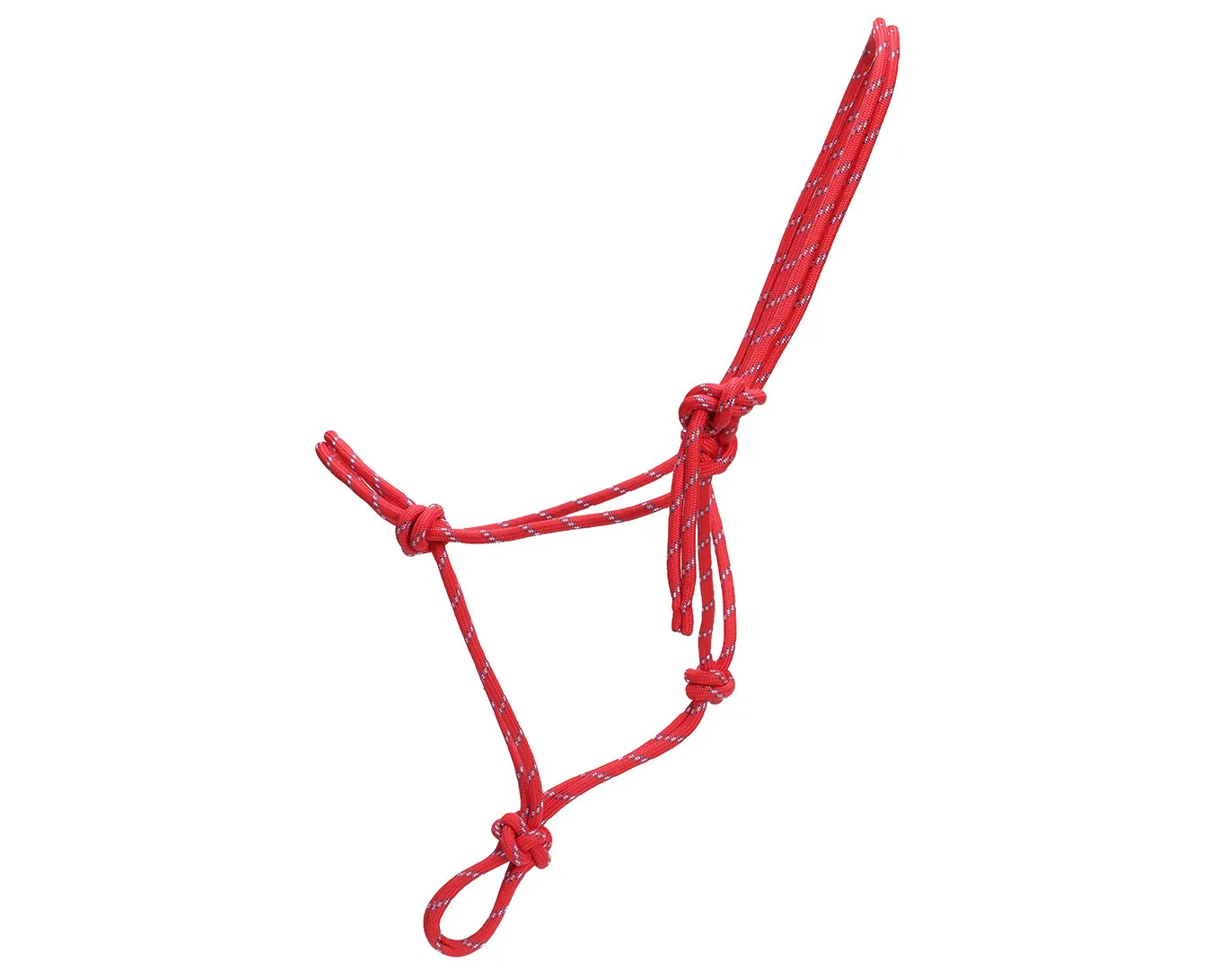 Horsemanship Halter