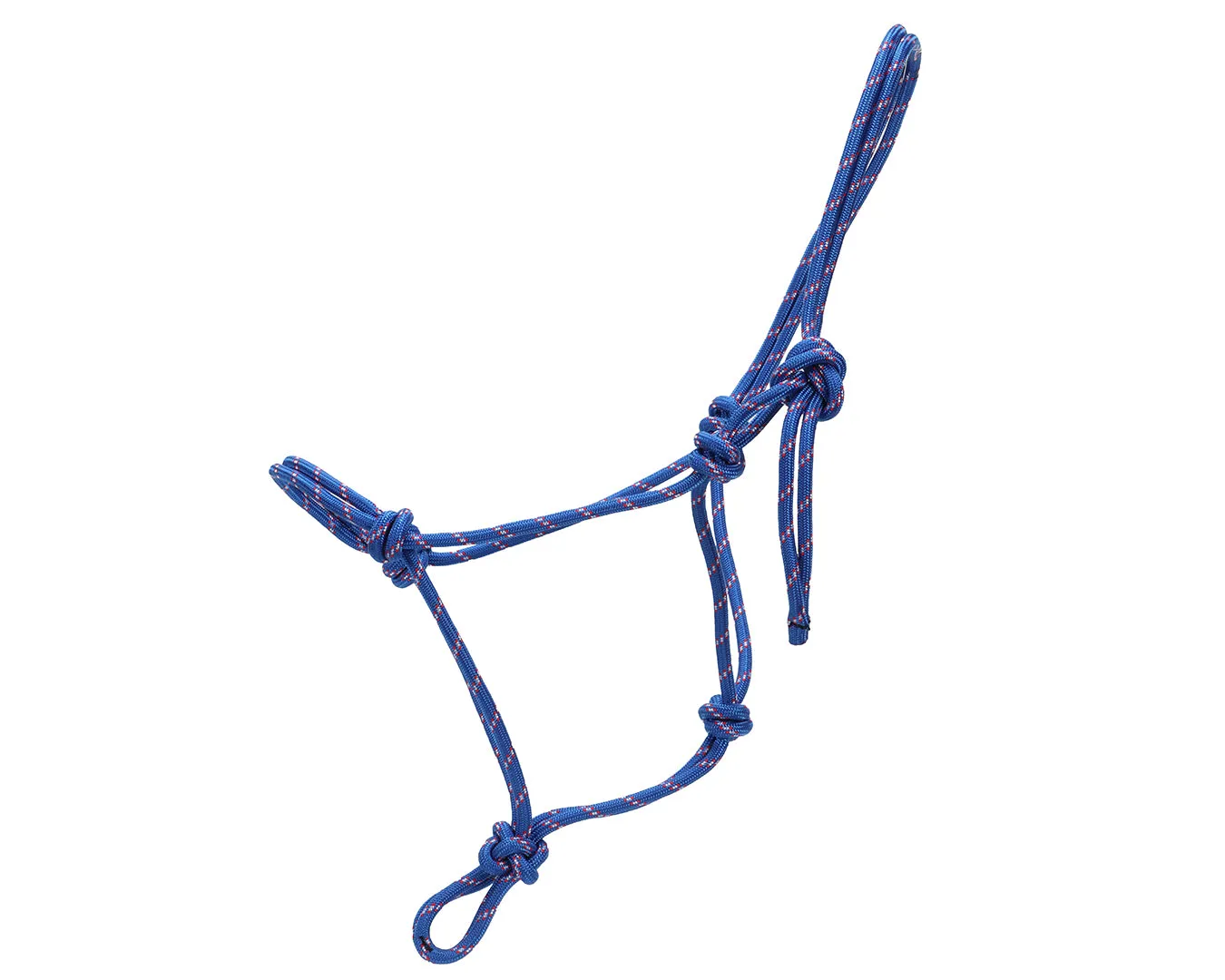 Horsemanship Halter