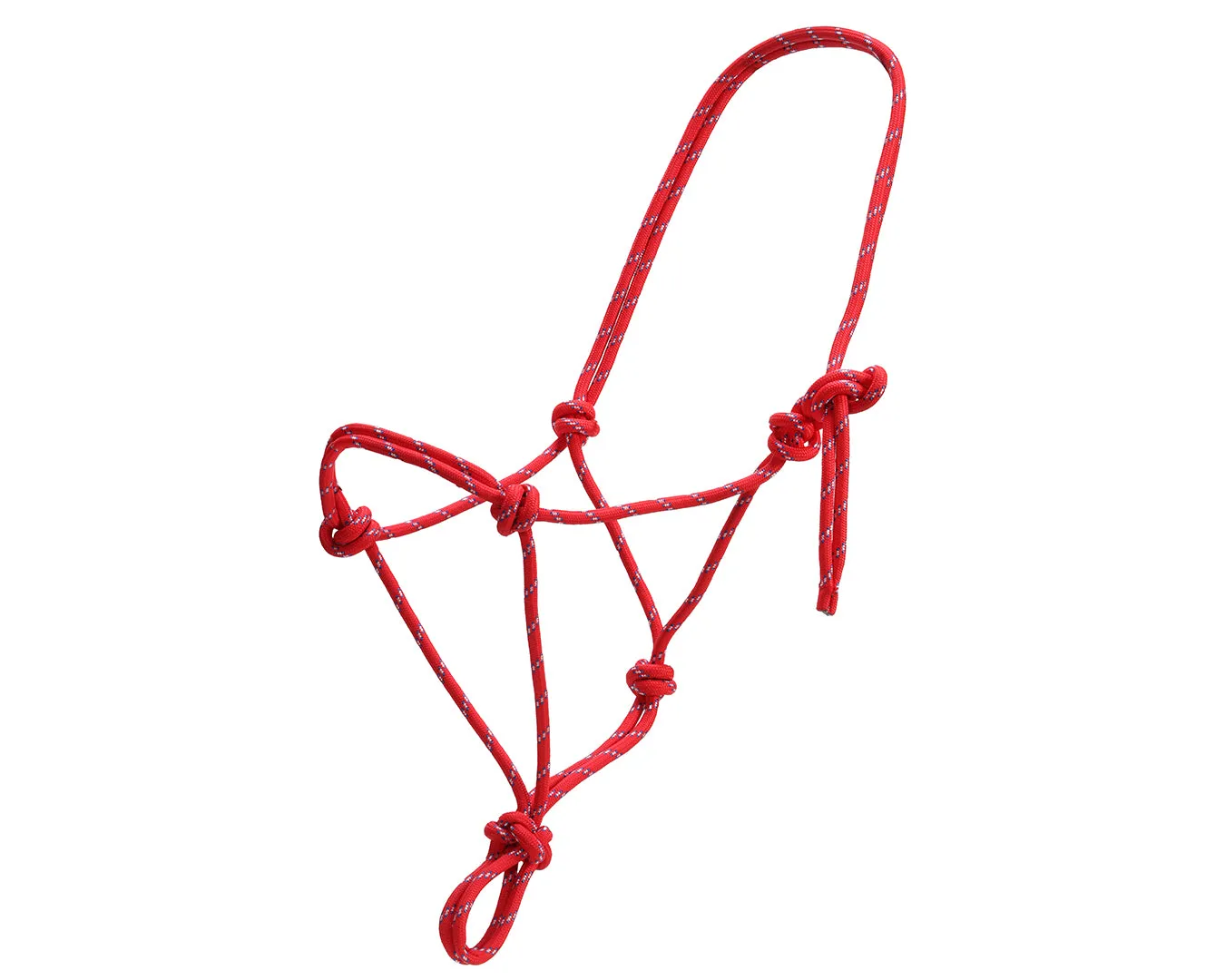 Horsemanship Halter