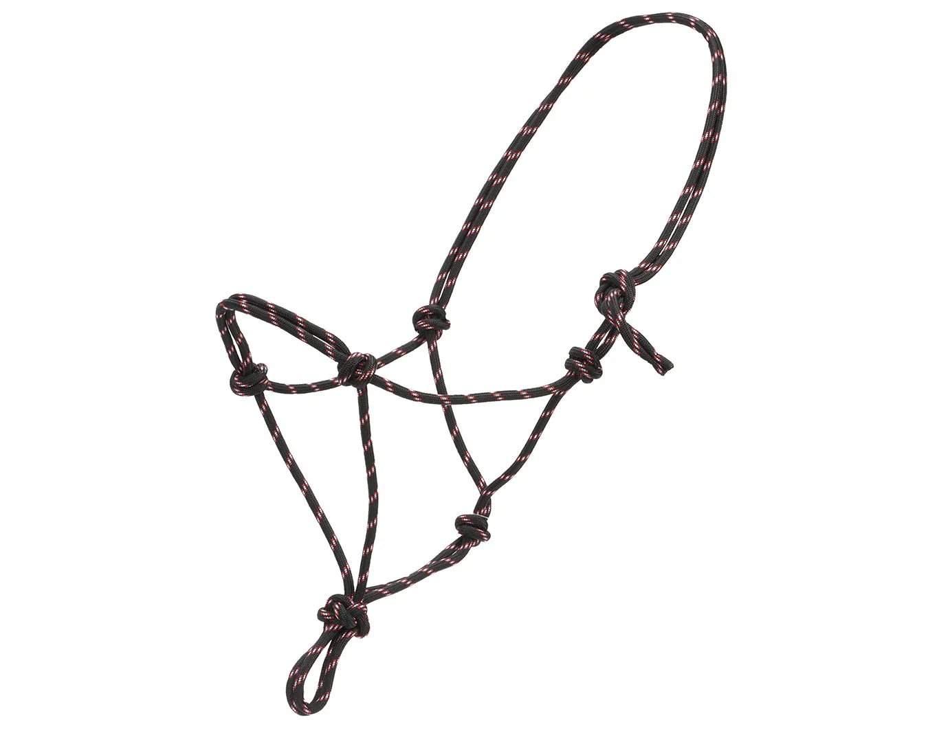 Horsemanship Halter