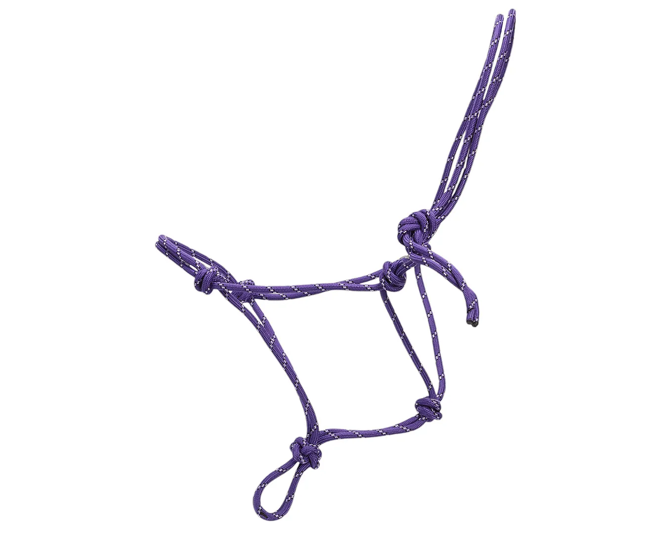 Horsemanship Halter