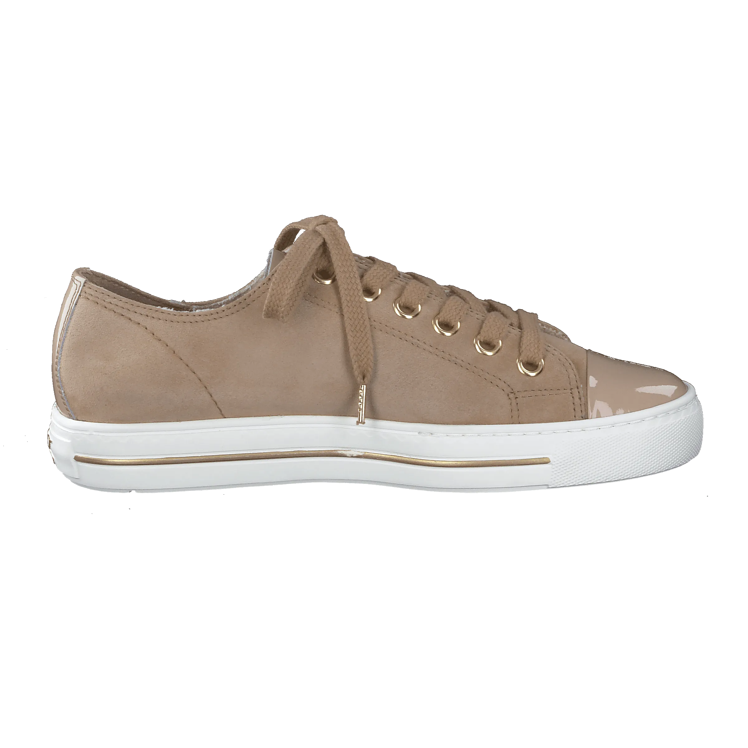 Paul Green 4977224- Trainer