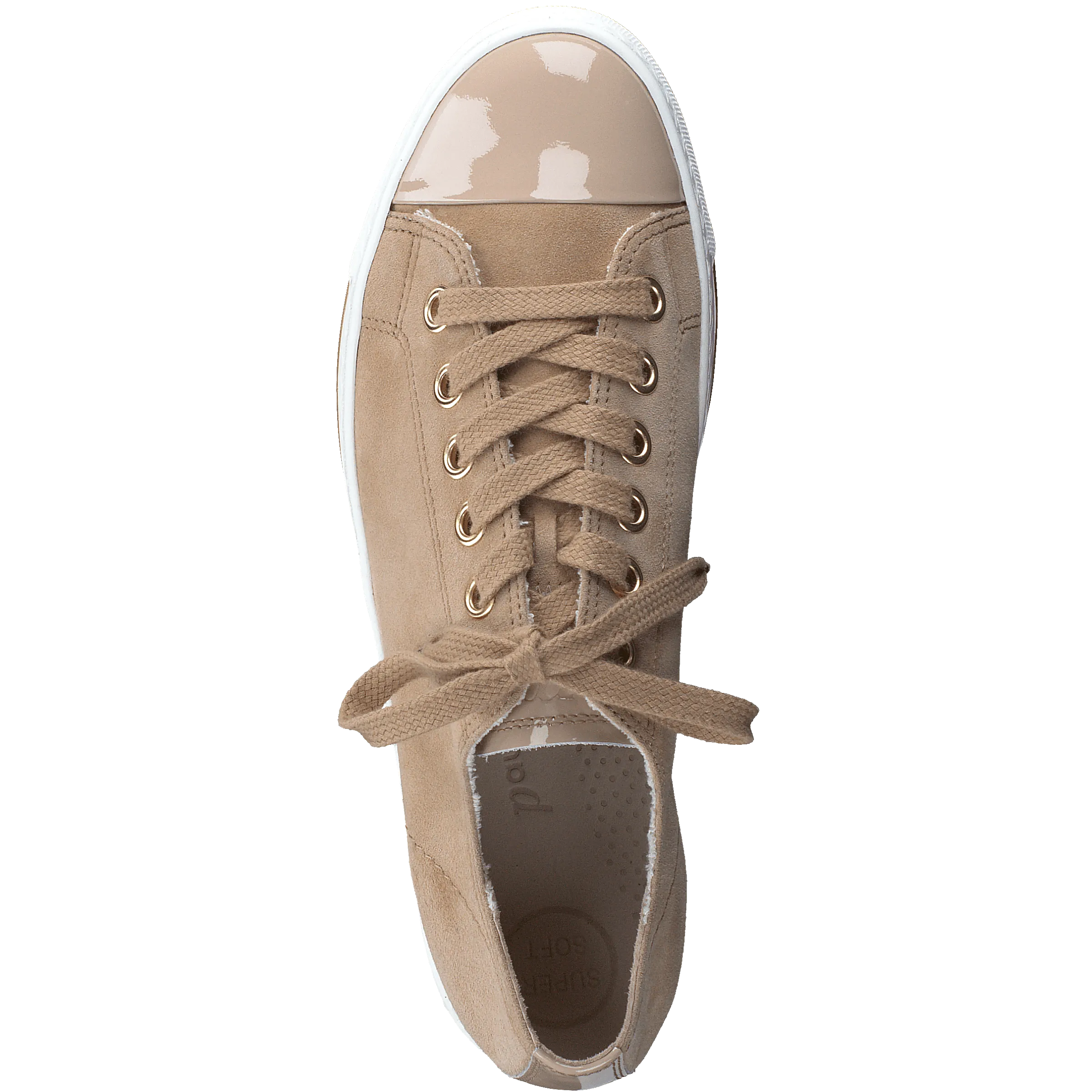 Paul Green 4977224- Trainer