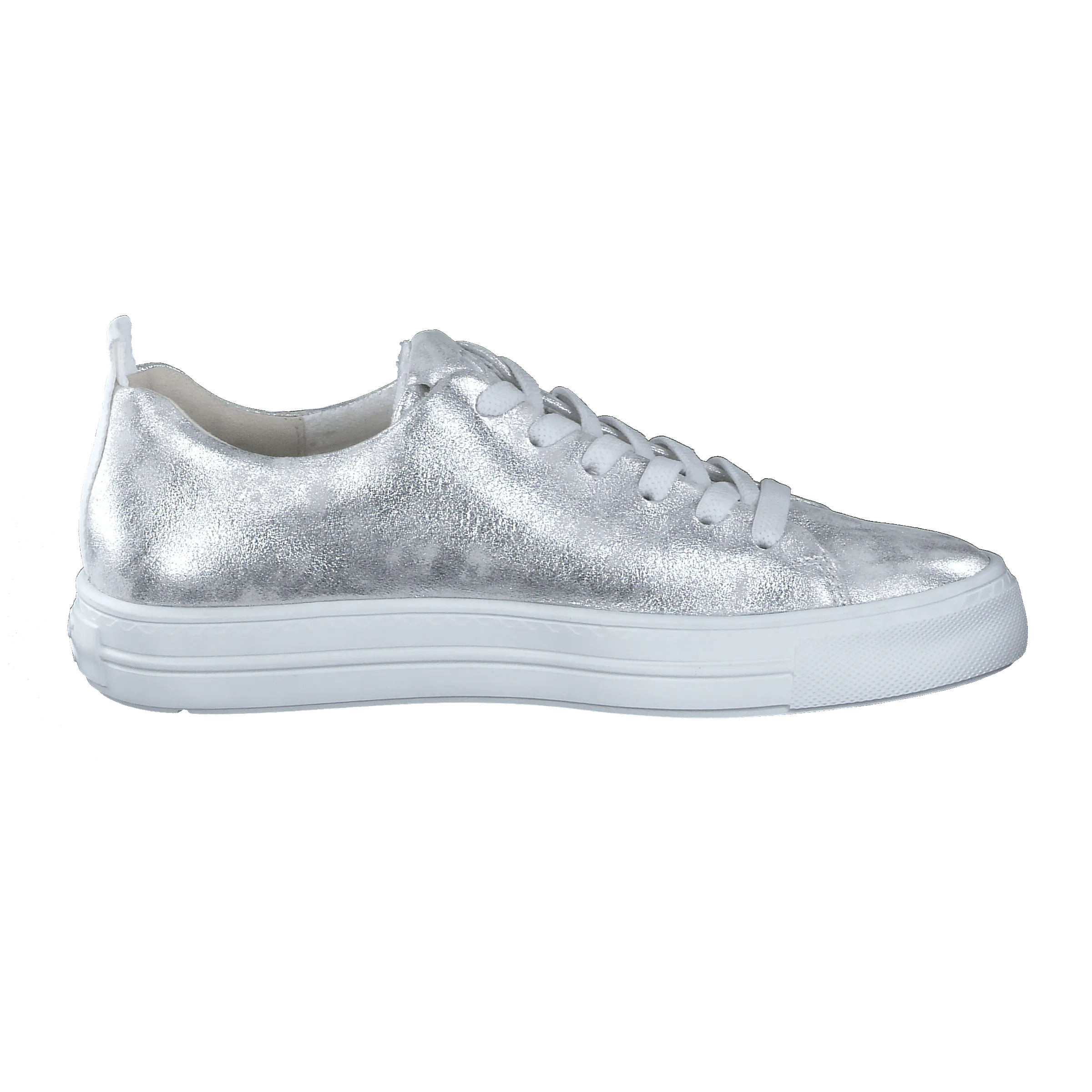 Paul Green 5267045-Trainer