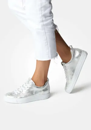 Paul Green 5267045-Trainer