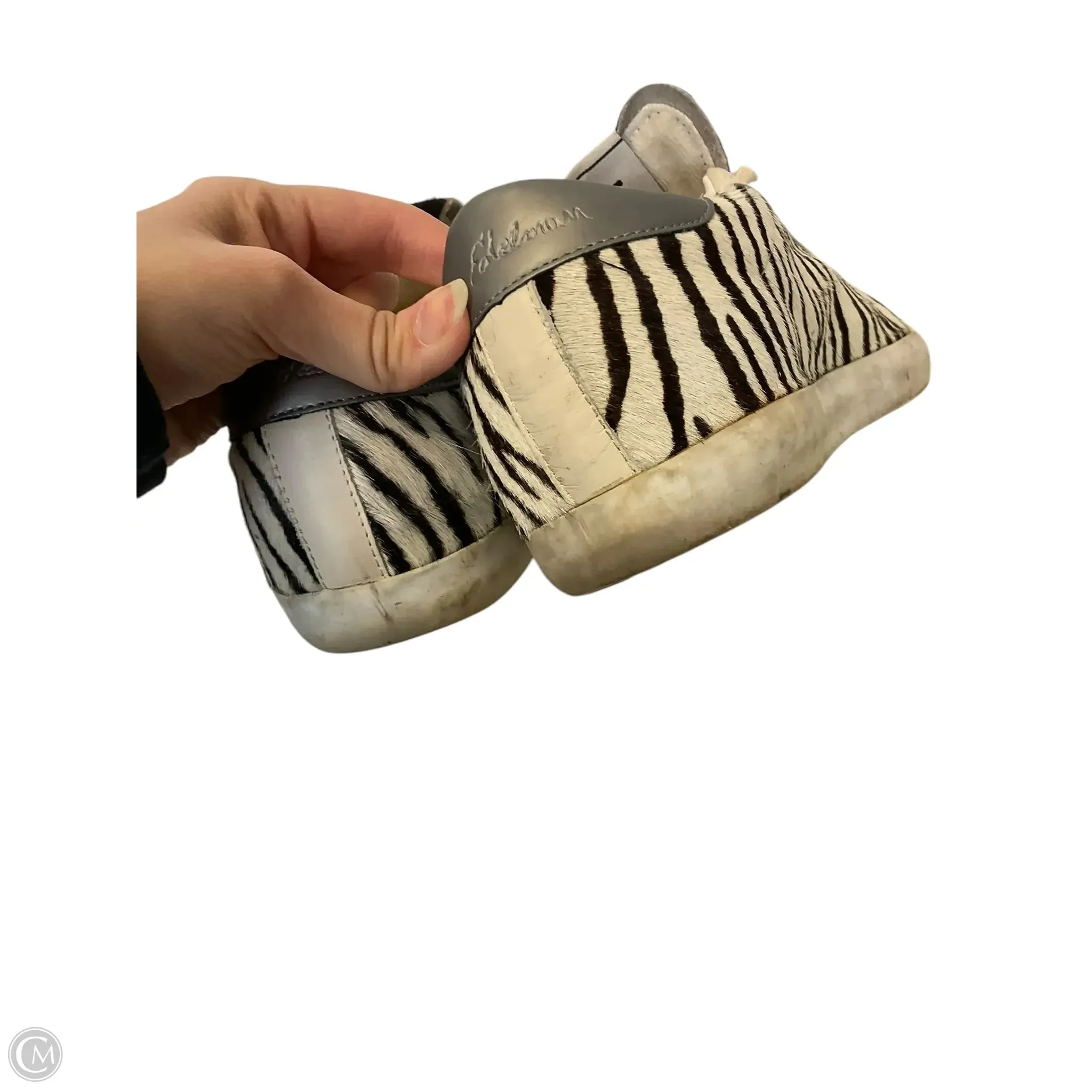 Shoes Sneakers By Sam Edelman In Zebra Print, Size: 9